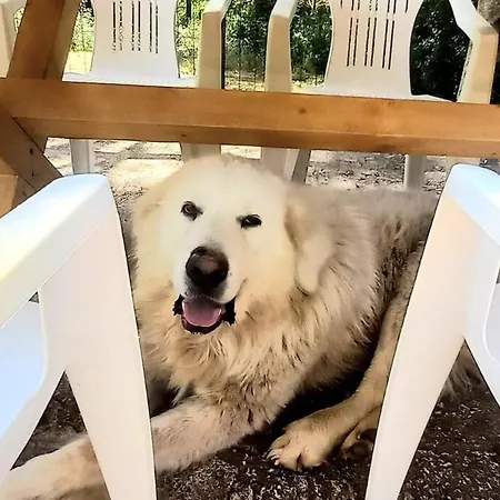 Grande, Bella In Toscana Vicino Al Mare Сasa de vacaciones Capalbio